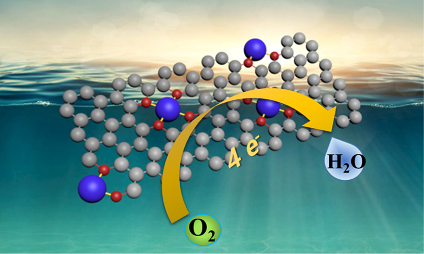 11111.jpeg 11111.jpeg