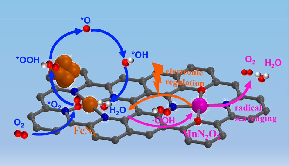 1111a.jpeg 1111a.jpeg