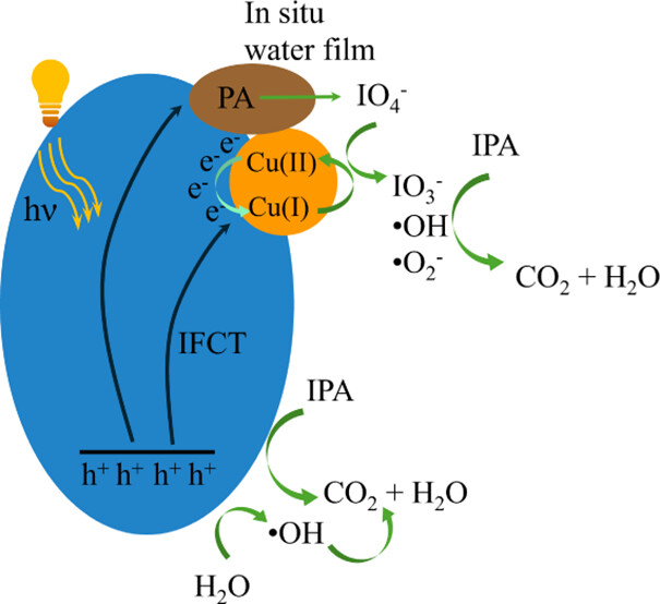 images_large_ie4c03320_0010.jpeg images_large_ie4c03320_0010.jpeg