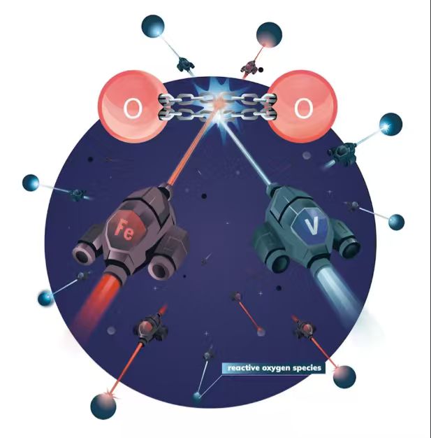 微信图片_20250915202727_284_417.jpg 微信图片_20250915202727_284_417.jpg