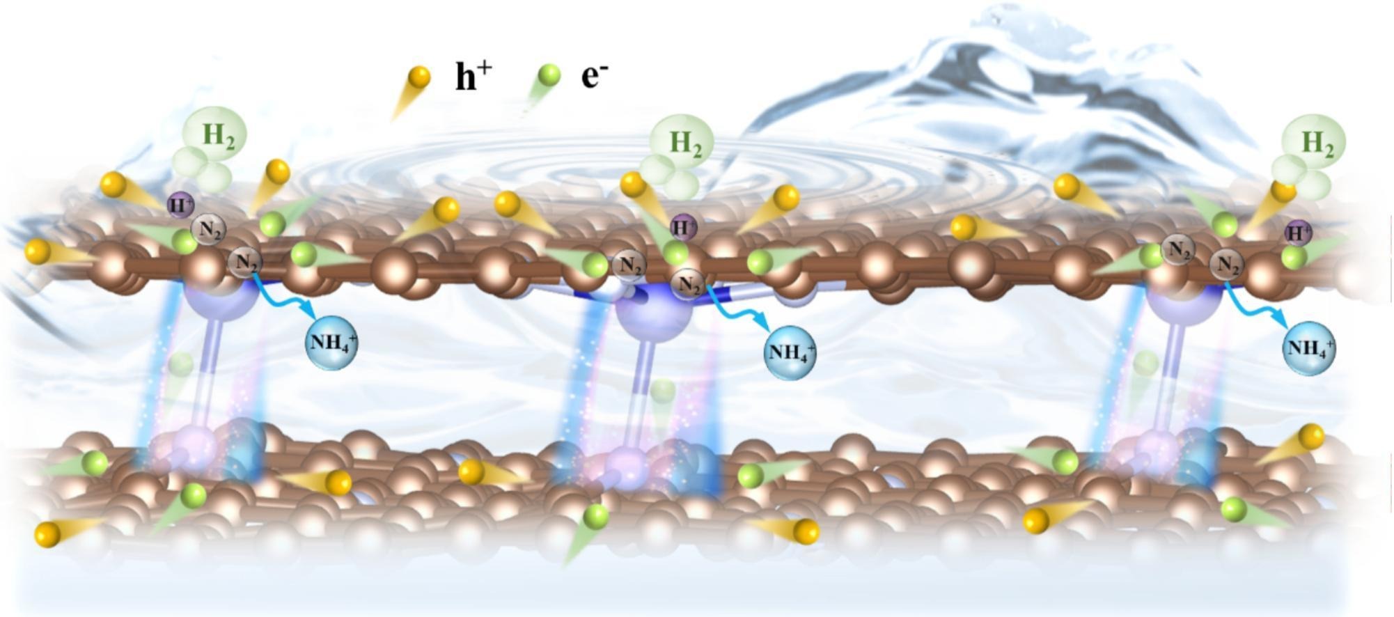 1-s2.0-S0169433225018264-ga1_lrg.jpg 1-s2.0-S0169433225018264-ga1_lrg.jpg